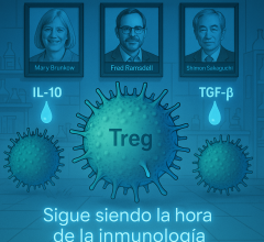 Hora de la Inmunología