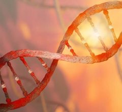 histocompatibilidad-body01