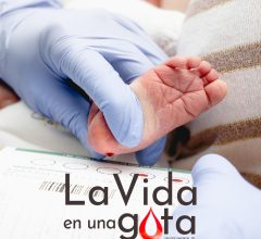 la vida en una gota