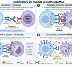 mecanismo_accion_elranatamab